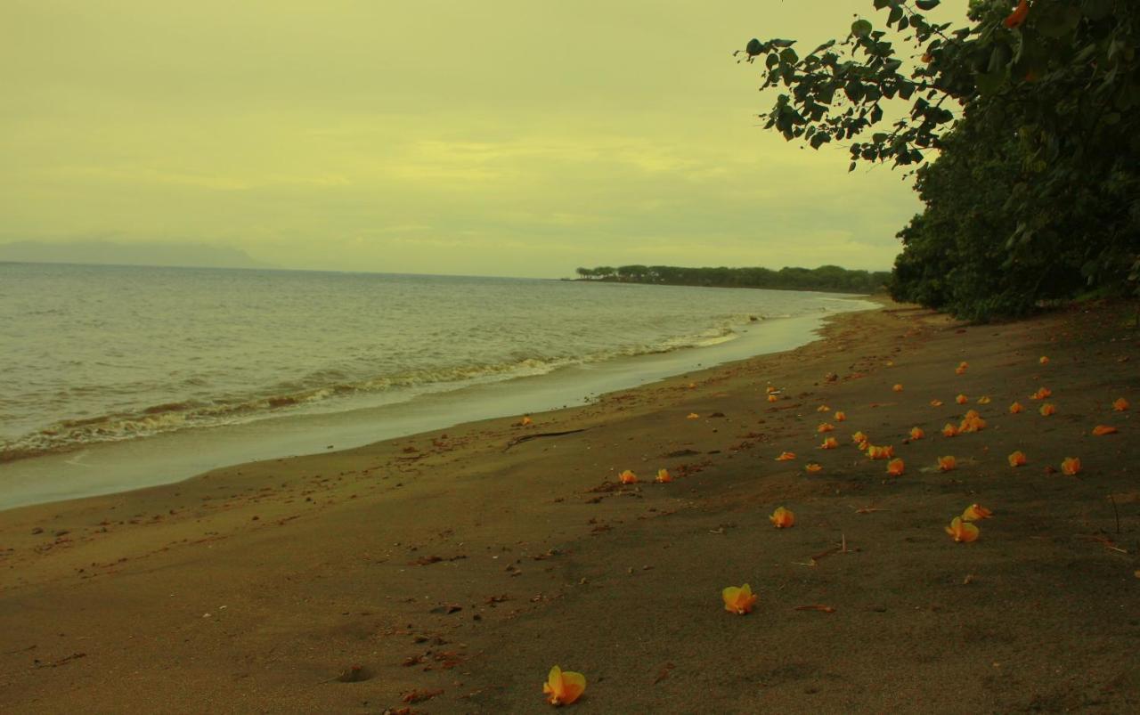 Fx72 Beach Resort Maumere Luaran gambar